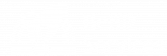 dsxlogo-beniz-services